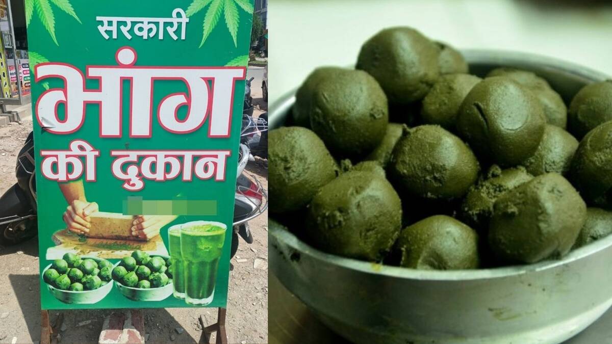 CG : भांग के थोक दुकान लाइसेंस के लिए आवेदन 1 अप्रैल से   - CG Sandesh