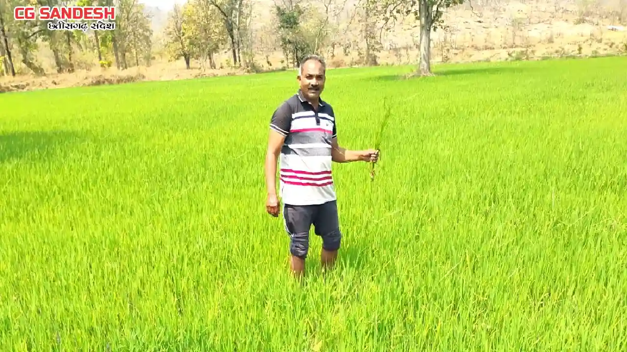 पिथौरा : वनाधिकार पत्र मिलने से बद्रिका कमल सिंह बने आत्मनिर... - CG Sandesh