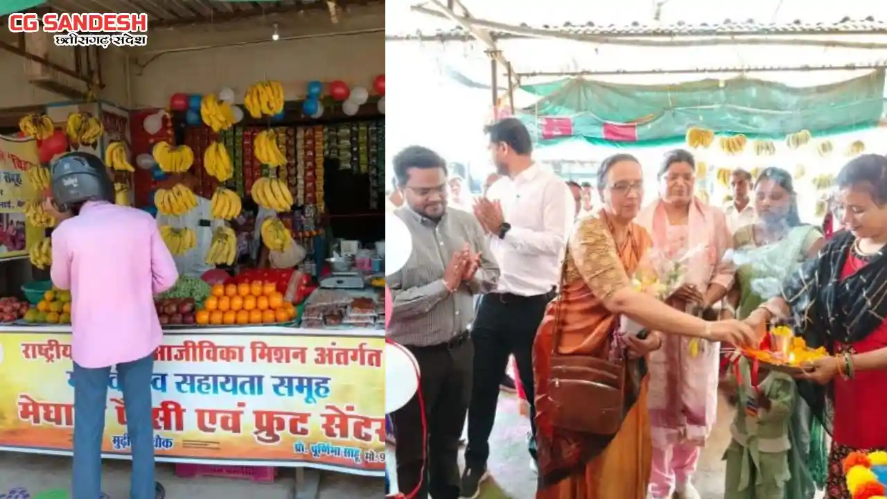 महासमुंद : बिहान योजना से सशक्त हुई दीदी पूर्णिमा - CG Sandesh
