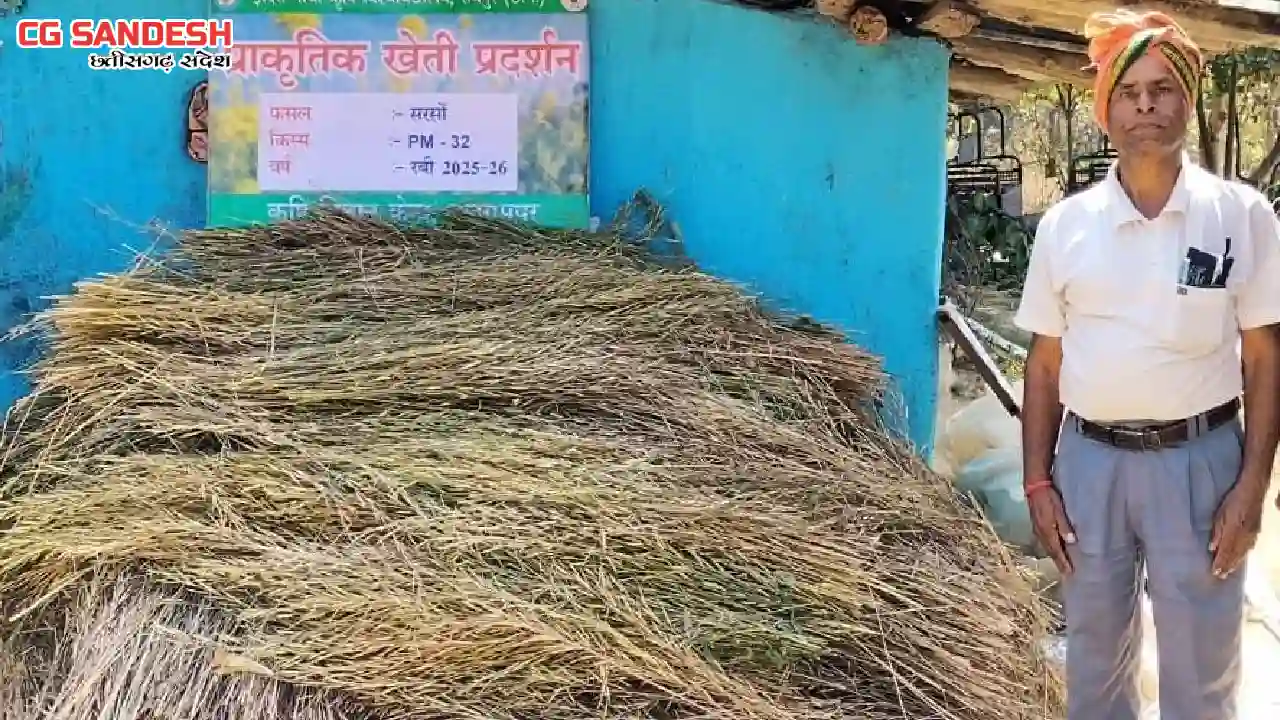 CG : सरसों की खेती, कम लागत, कम पानी और कम समय  में अधिक मुन... - CG Sandesh