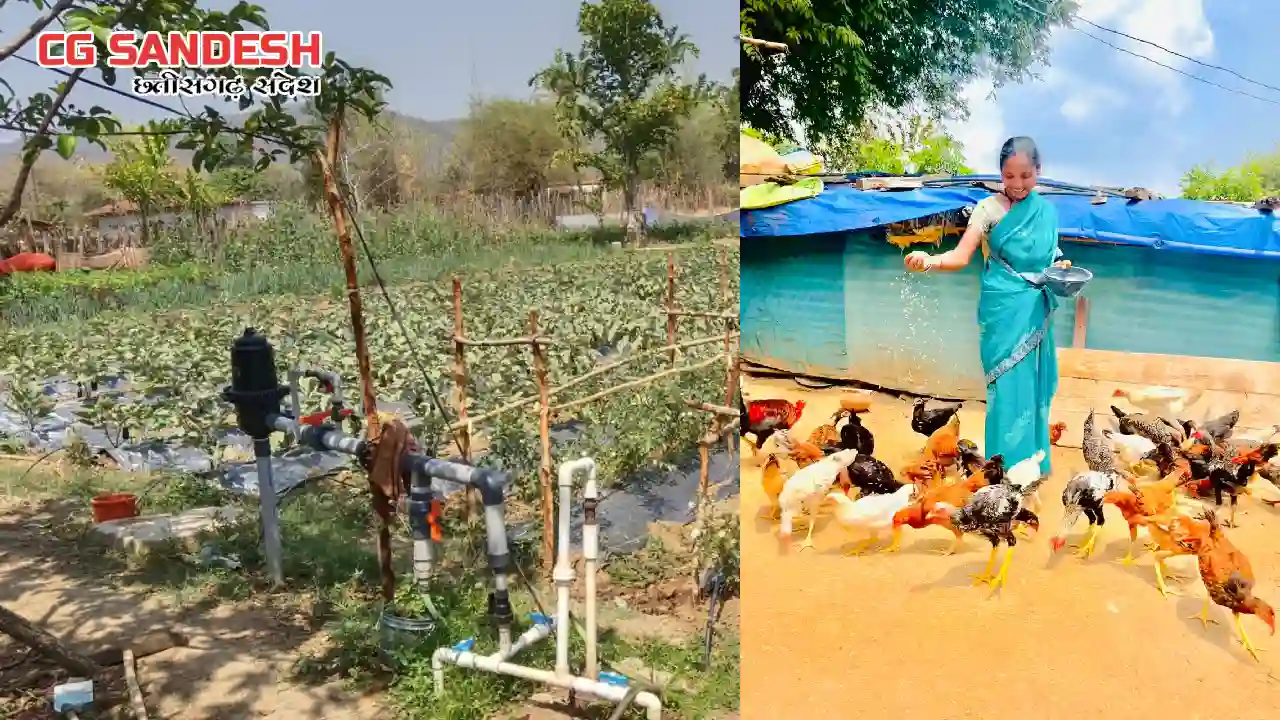CG : दीदी के बखरी  से आ रही नई क्रांति - CG Sandesh
