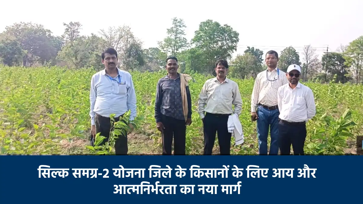 महासमुंद : सिल्क समग्र-2 योजना जिले के किसानों के लिए आय और ... - CG Sandesh