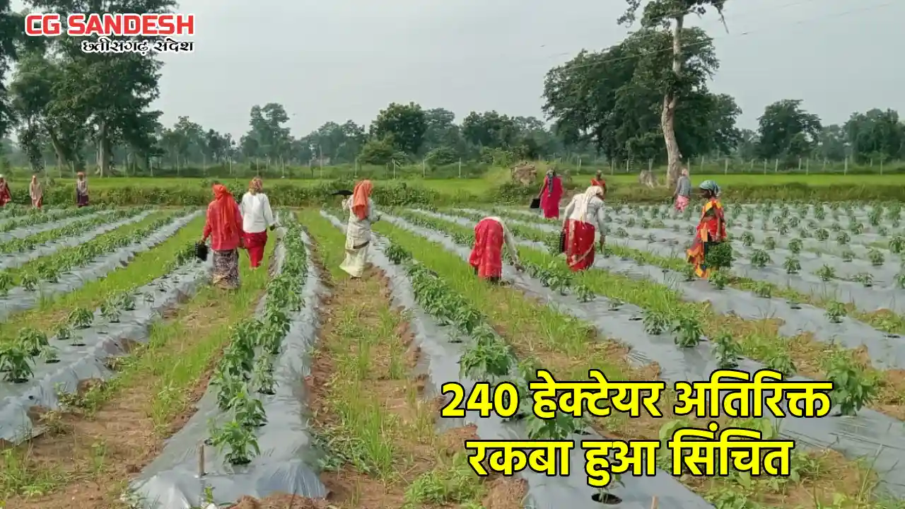 बागबाहरा : दरबेकेरा लिफ्ट सिंचाई योजना से 227 किसानों को मिल... - CG Sandesh