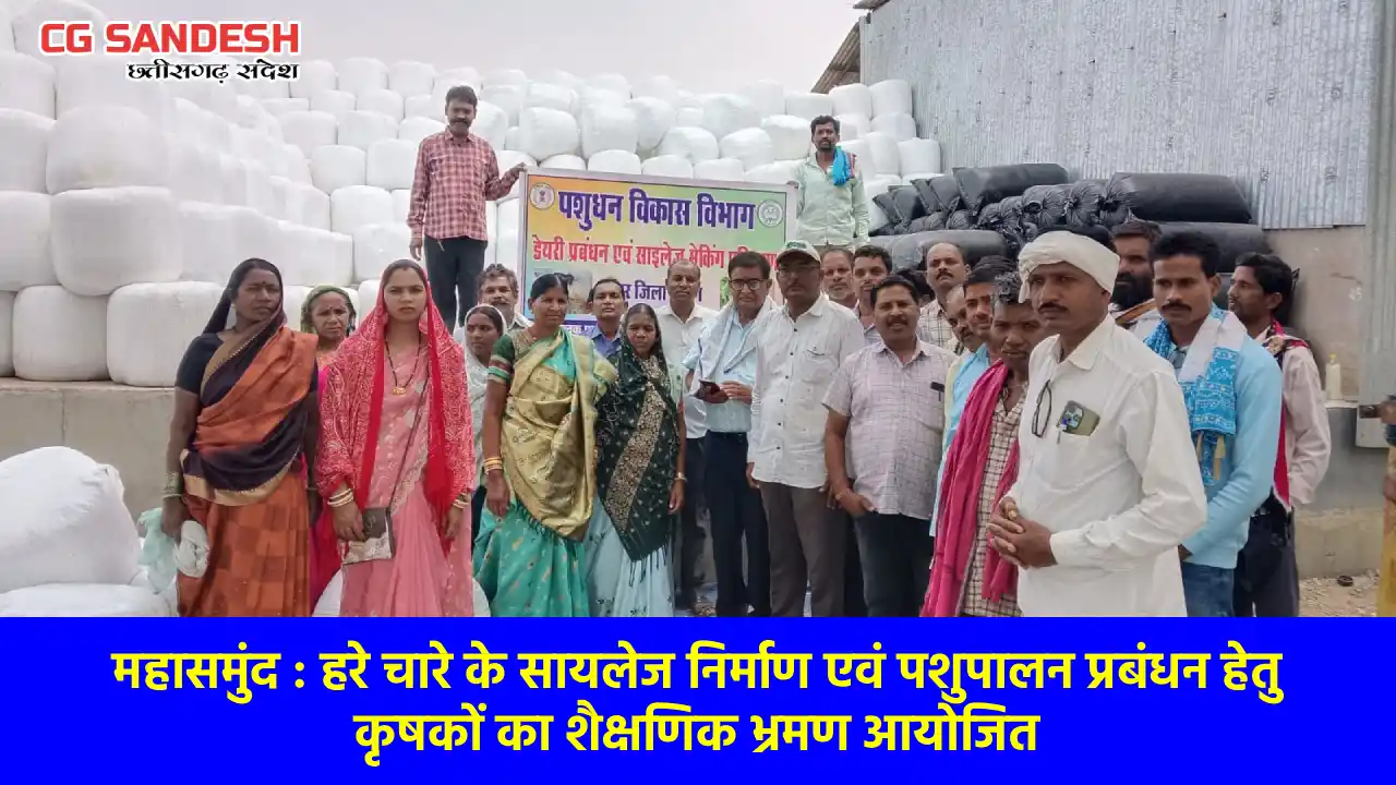 महासमुंद : हरे चारे के सायलेज निर्माण एवं पशुपालन प्रबंधन हे... - CG Sandesh