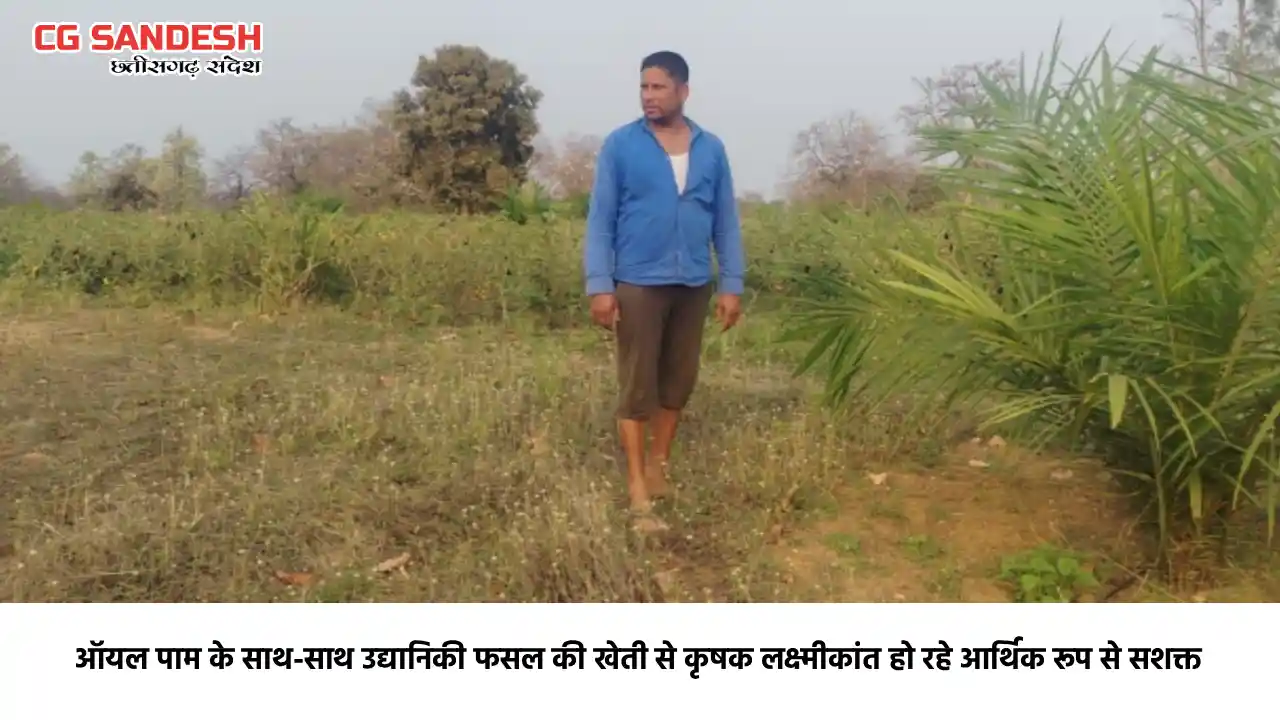 पिथौरा : आधुनिक तकनीक से बंजर भूमि को बनाया आय का मजबूत साधन - CG Sandesh