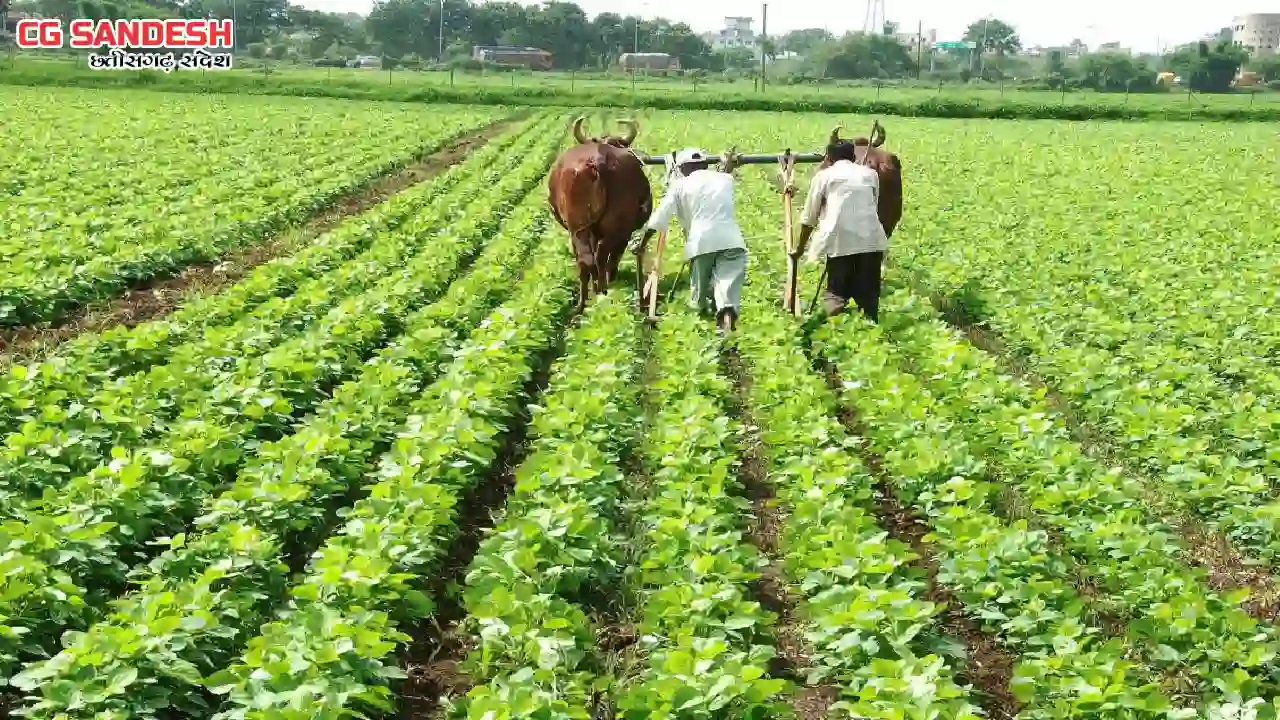 प्रत्येक राज्य के लिए बनाया जाएगा अलग कृषि रोडमैप - CG Sandesh