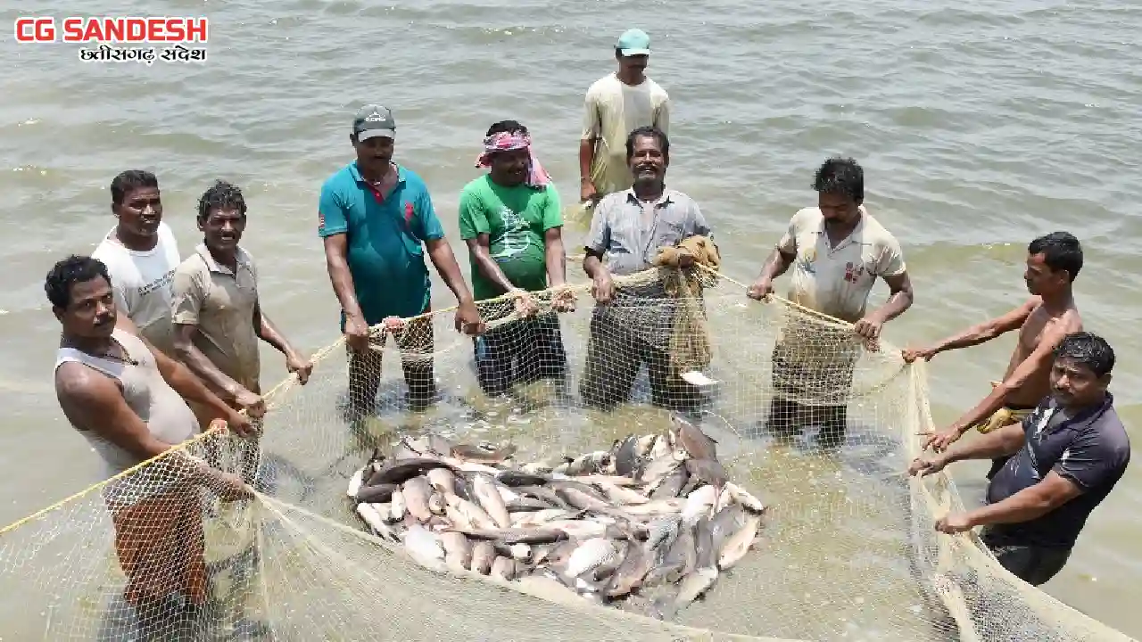 भारत में मछली उत्पादन ने बनाया रिकॉर्ड, वित्त वर्ष 2025 में ... - CG Sandesh