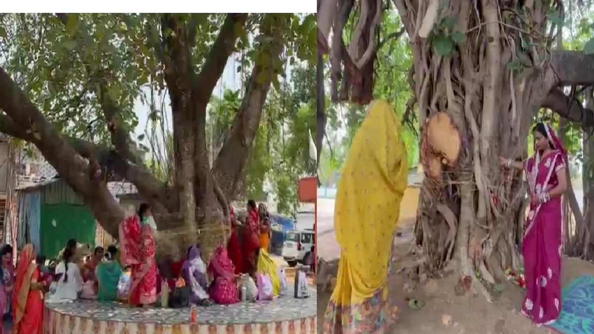 CG : वट सावित्री पूजा में उमड़ी महिलाओं की आस्था, पति की लंब... - CG Sandesh