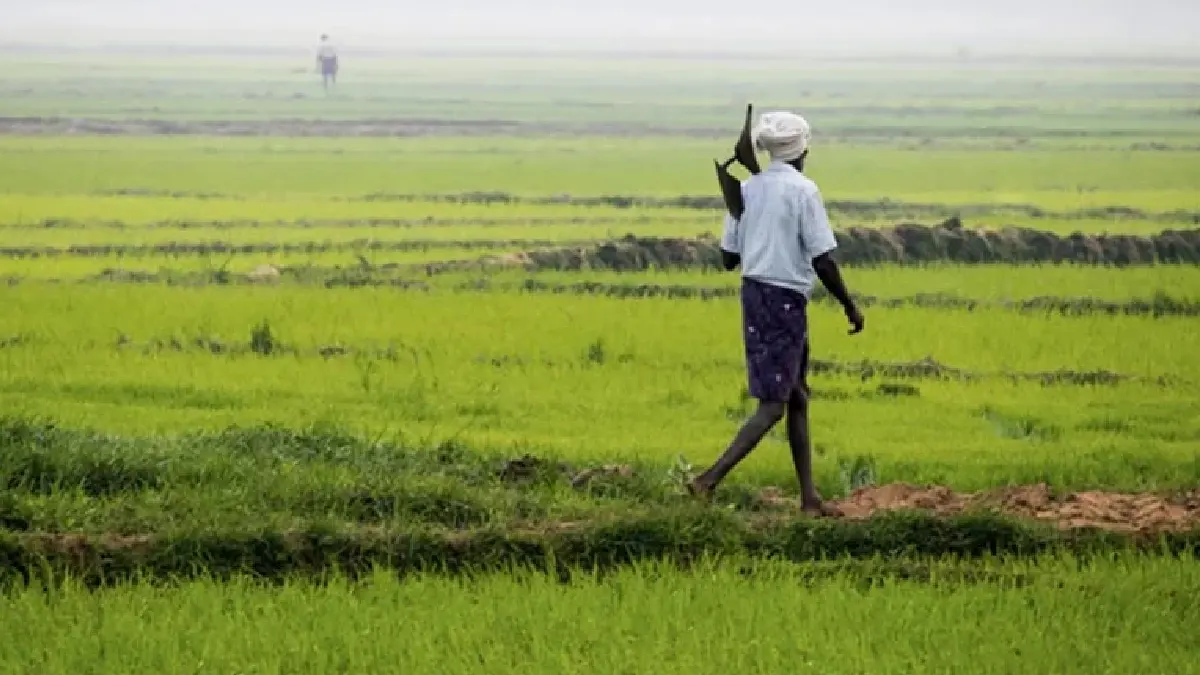 बसना : भाजपा सरकार के खिलाफ फुट रहा किसानों का गुस्सा, सोशल ... - CG Sandesh