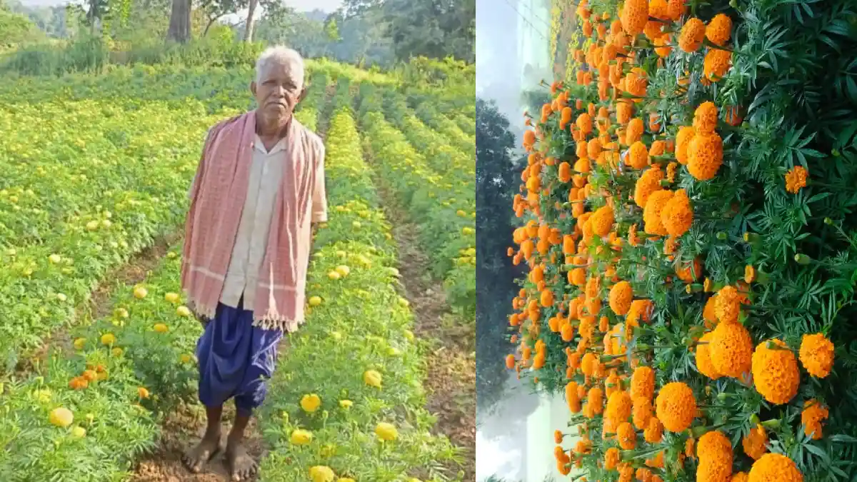 CG : धान छोड़ फूलों की खेती, बदली आनंदराम की तकदीर, 22 हजार क... - CG Sandesh