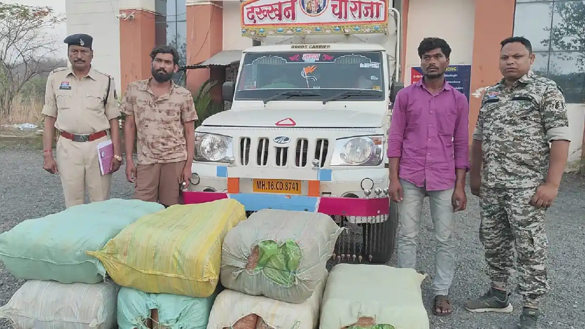 महासमुंद : 1 करोड़ 14 लाख का गांजा जप्त, दो आरोपी गिरफ्तार - CG Sandesh