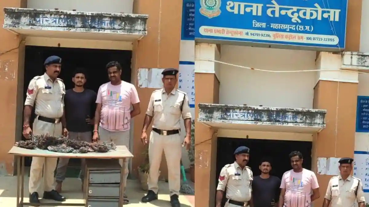 तेन्दूकोना : सोलर प्लांट में सेंधमारी करने वाला शातिर चोर गि... - CG Sandesh