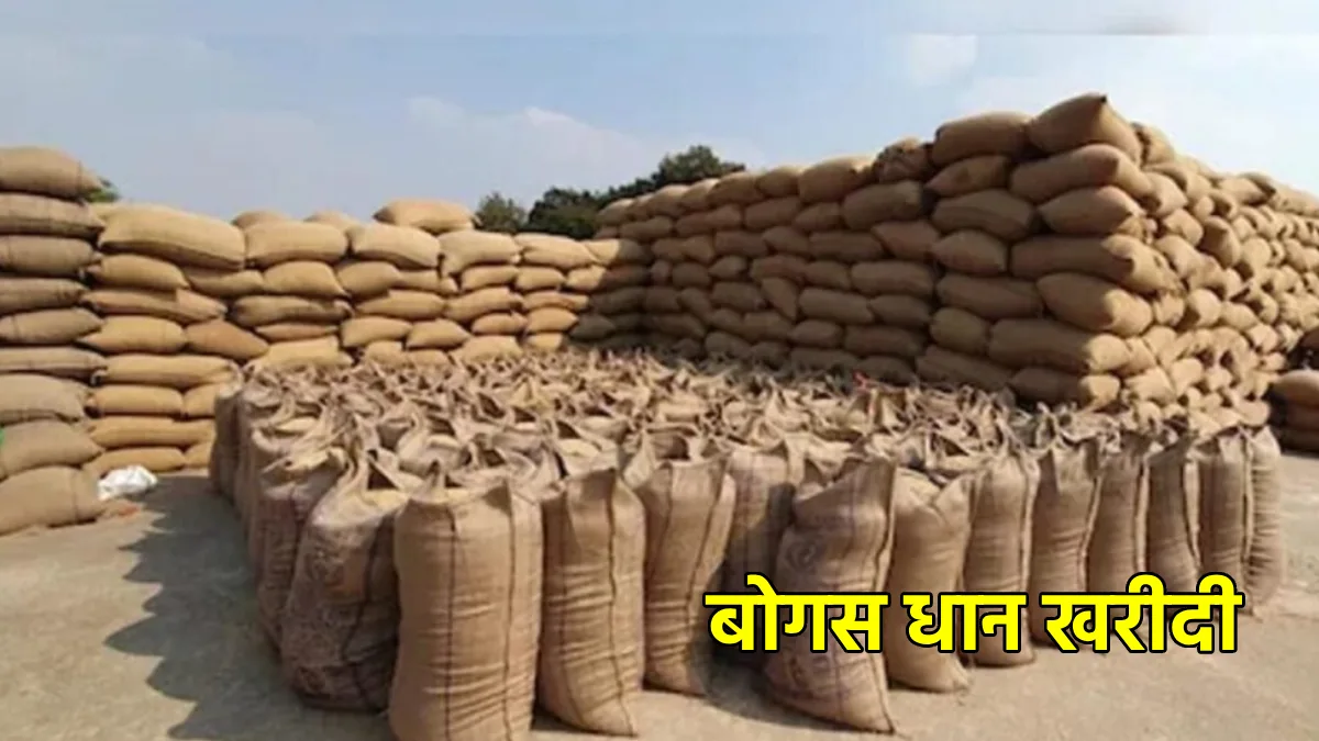 बसना : बम्हनी के धान खरीदी केंद्र में 1.16 करोड़ के धान की क... - CG Sandesh