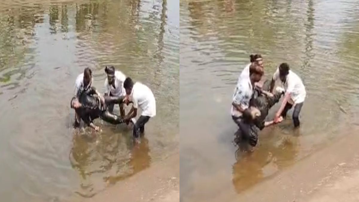 CG : मस्तुरी में नहर से युवक का शव बरामद, कल से था लापता, इल... - CG Sandesh