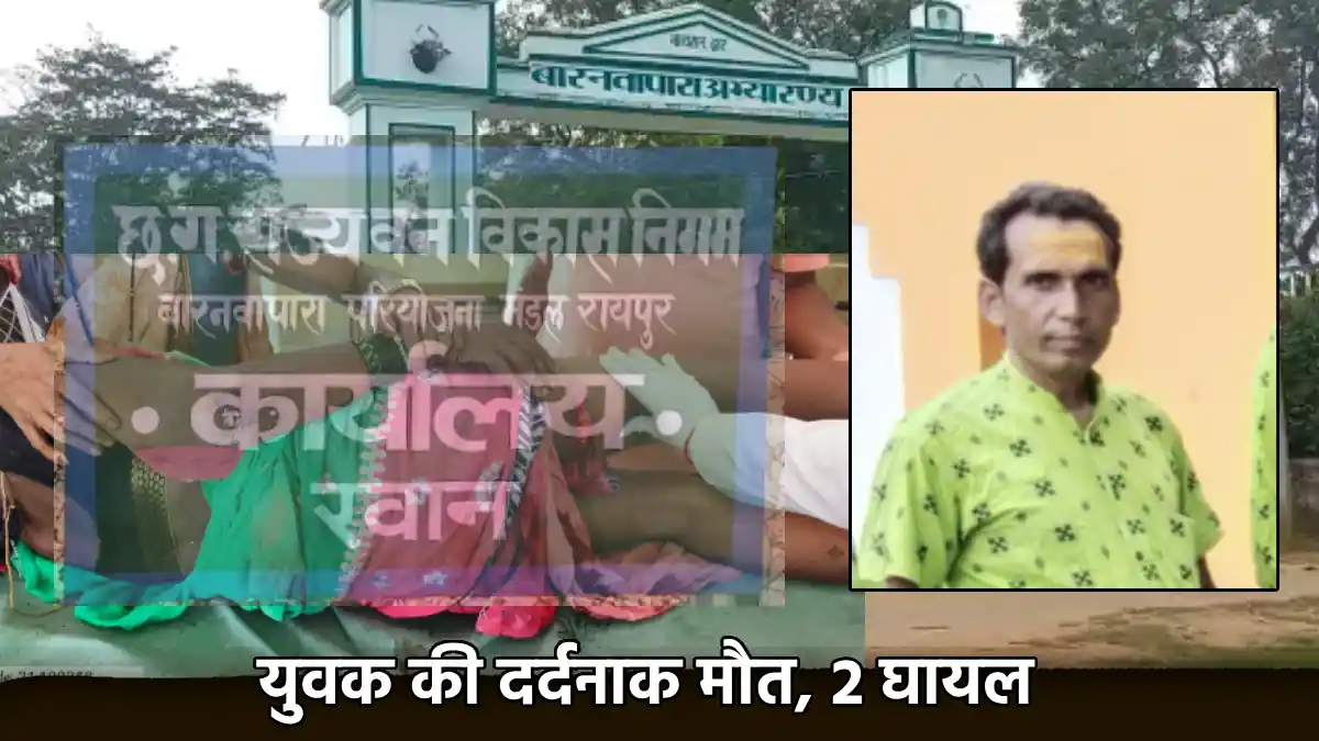 CG : बायसन से दहशत, युवक का फाड़ा पेट, मौत  - CG Sandesh