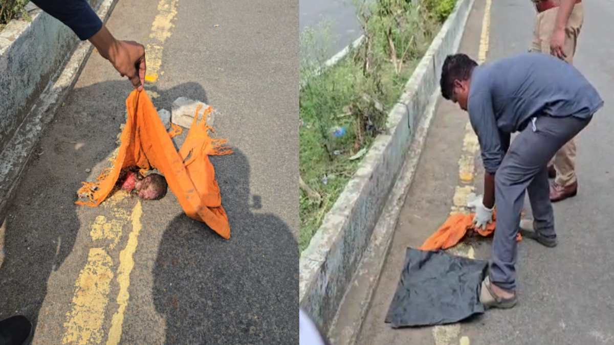 बिलासपुर के रिवर व्यू क्षेत्र में नवजात का शव मिलने से सनसनी... - CG Sandesh