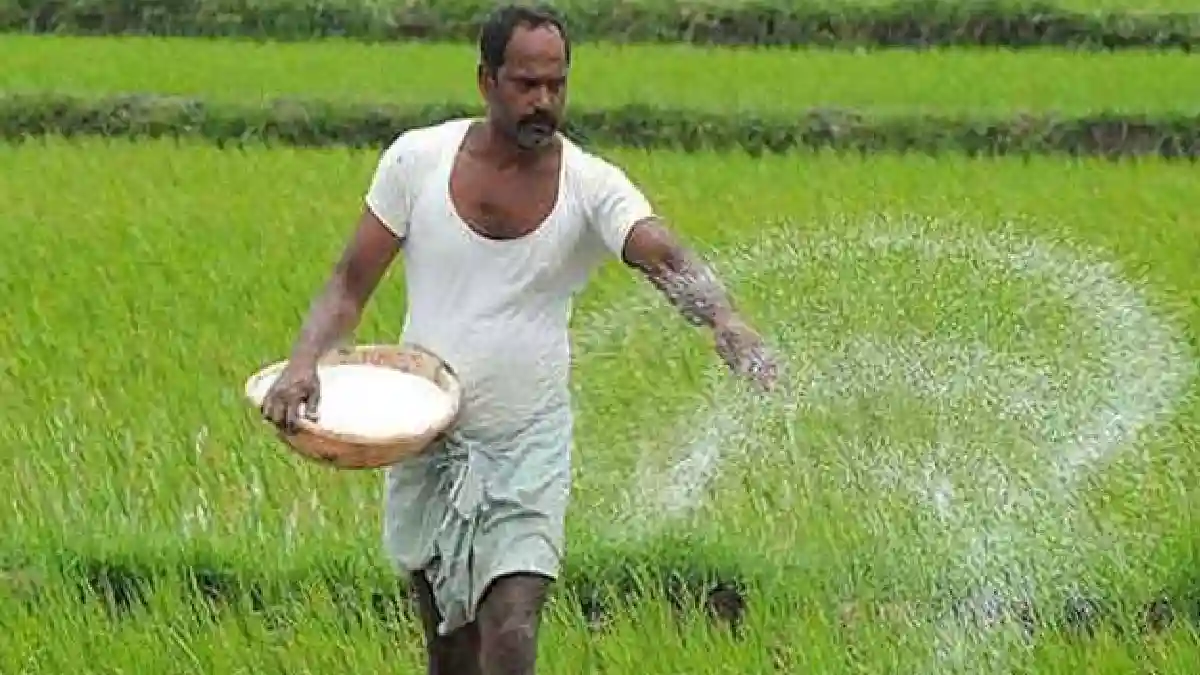 छत्तीसगढ़ शासन ने किसानों को खाद वितरण व्यवस्था में किया महत... - CG Sandesh