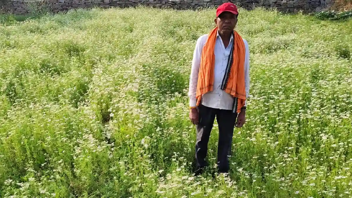 महासमुंद :  धनिया की खेती से किसान रतिराम की बढ़ी आय - CG Sandesh