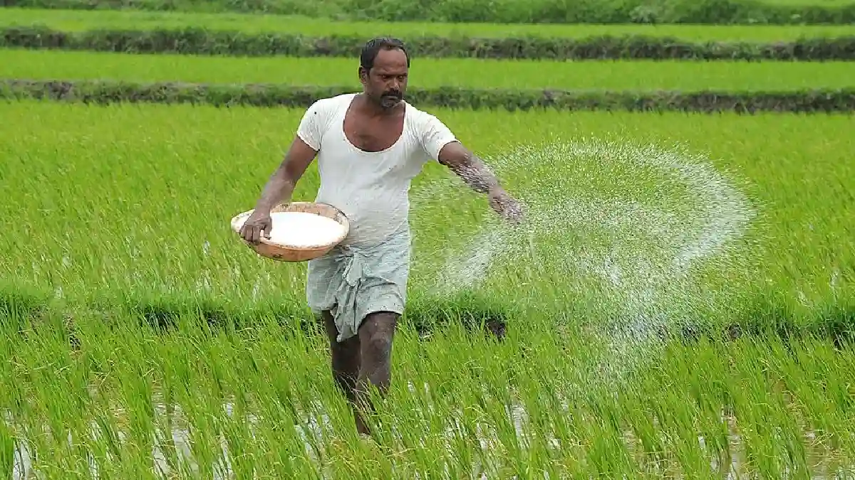 CG : खाद खरीदने से पहले किसान सावधान, कृषि विभाग ने दी यह जा... - CG Sandesh