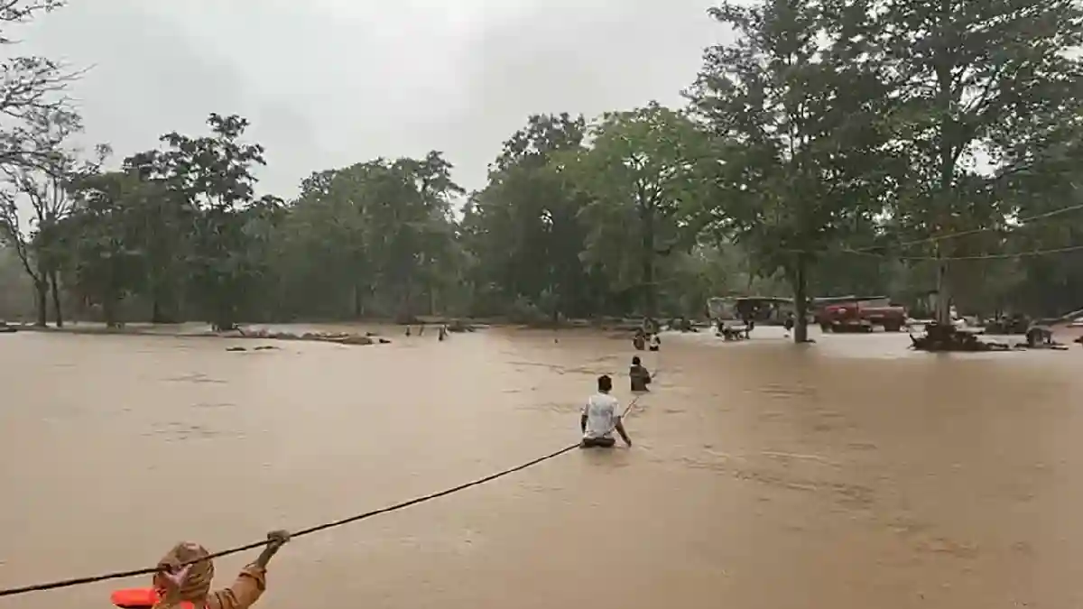 CG : बड़ा हादसा टला, मजदूरों ने पेड़ पर बीताई रात - CG Sandesh