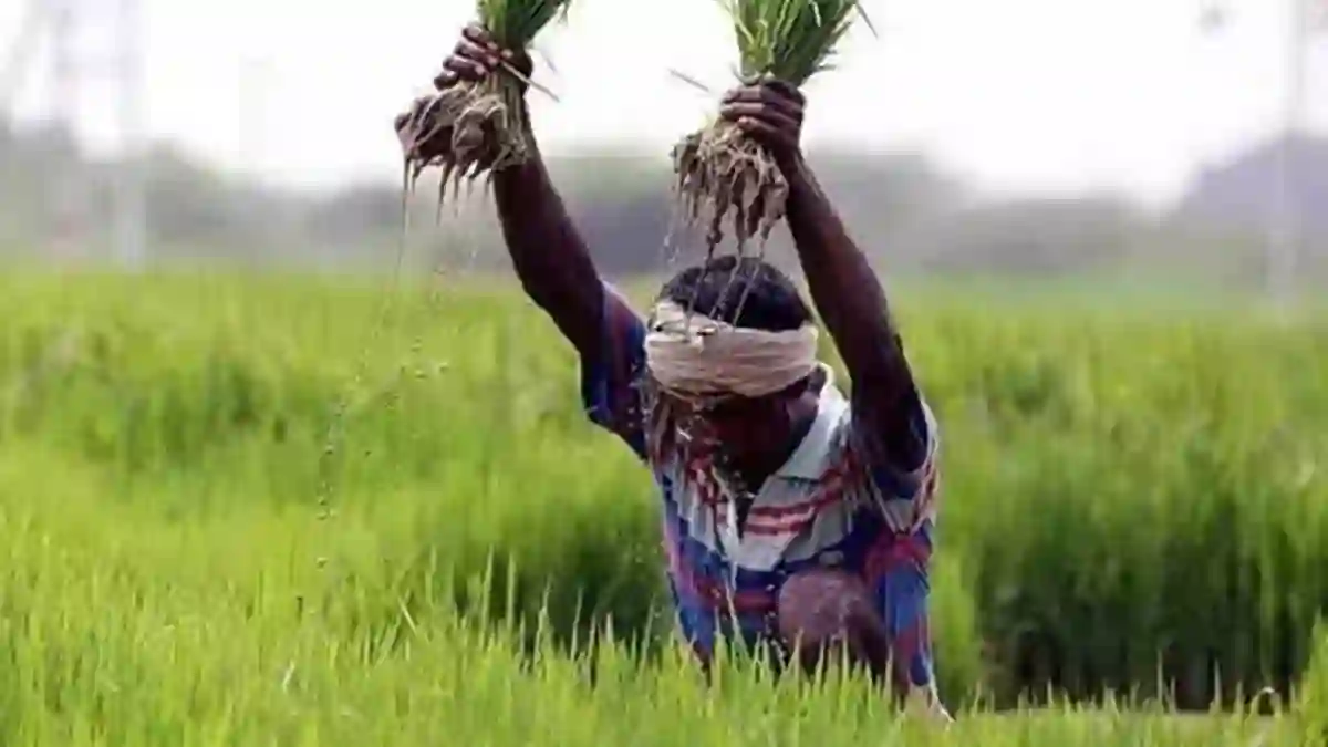 किसानों के लिए एआई आधारित सेवाओं का विस्तार - CG Sandesh
