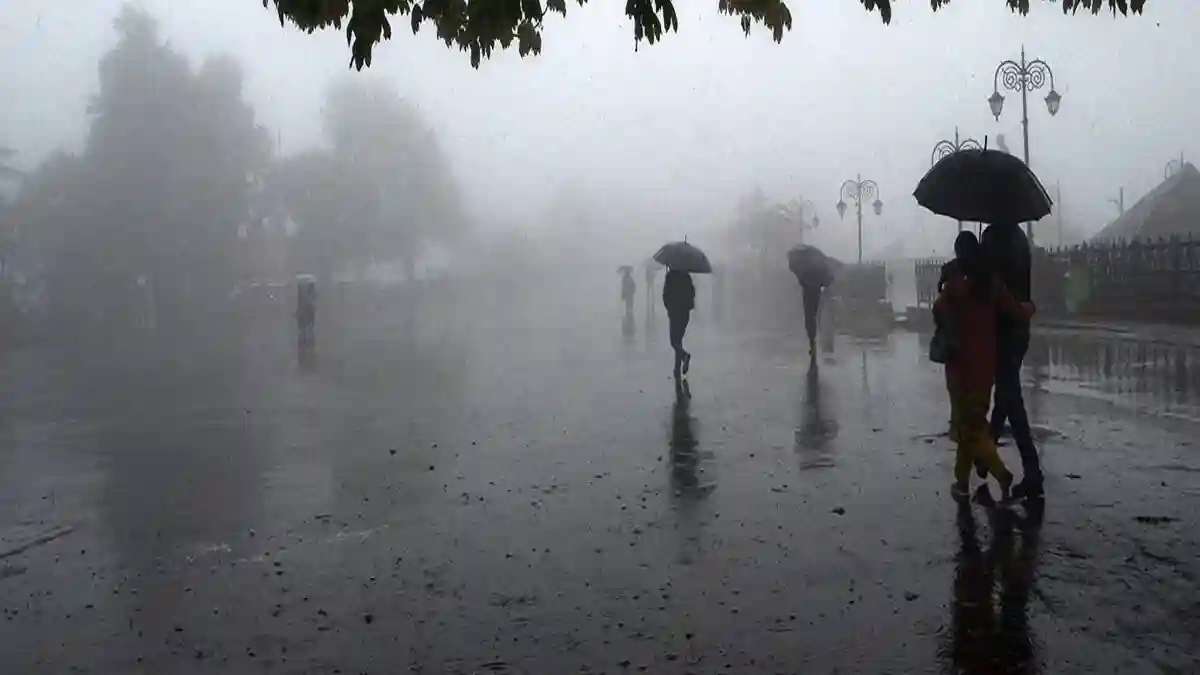 सारंगढ़-बिलाईगढ़ में रिकॉर्ड तोड़ वर्षा, महासमुंद जिले में इतनी... - CG Sandesh