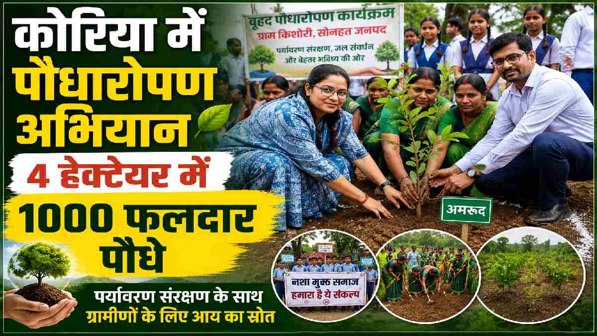 कोरिया में पर्यावरण संरक्षण की अनूठी पहल, 4 हेक्टेयर में लगा... - CG Sandesh