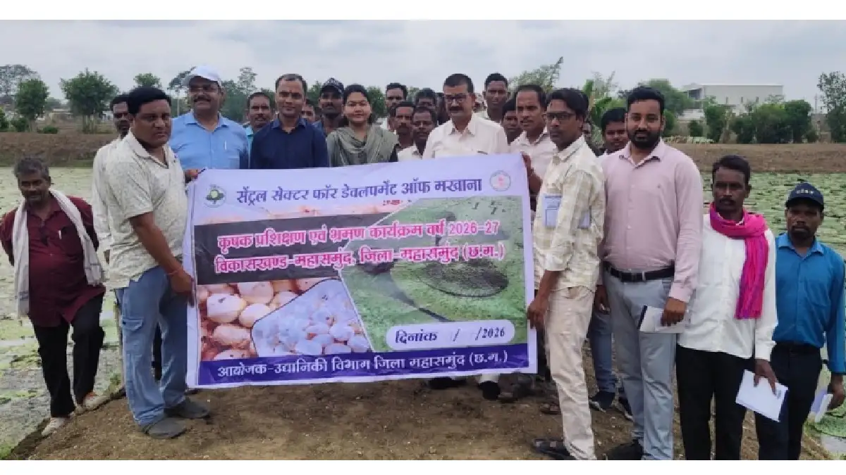 महासमुंद : जिले के किसानों ने सीखी सुपर फूड मखाना की वैज्ञान... - CG Sandesh
