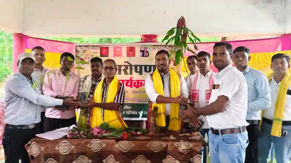 बसना : आदिवासी युवा प्रभाग व सर्व आदिवासी समाज ने किया वृक्ष... - CG Sandesh