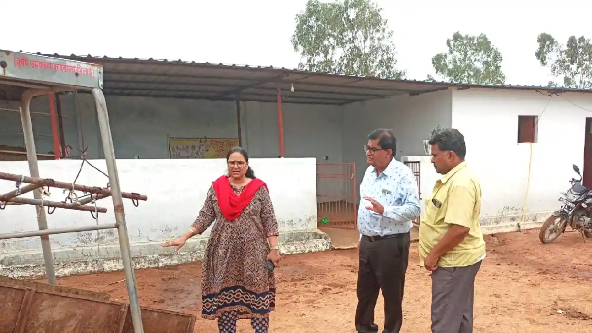 उप संचालक पशु चिकित्सा सेवाएं ने बागबाहरा अंतर्गत संचालित गौ... - CG Sandesh