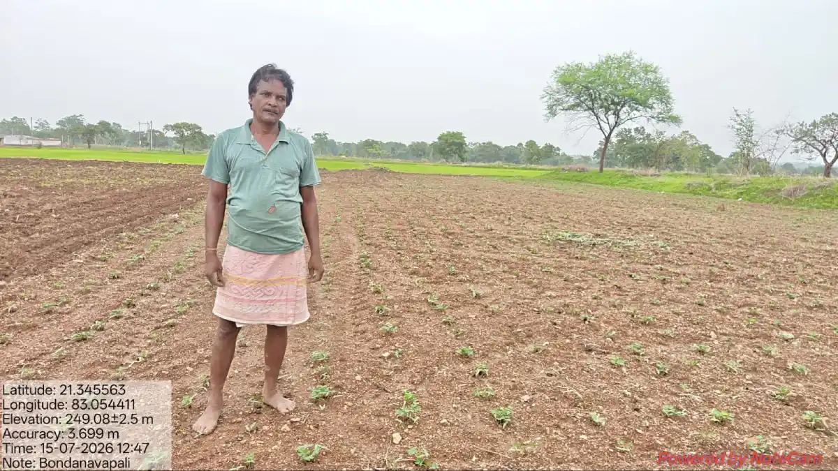 सरायपाली : धान से मूंगफली की ओर बढ़ते कदम: किसानों ने अपनाया... - CG Sandesh