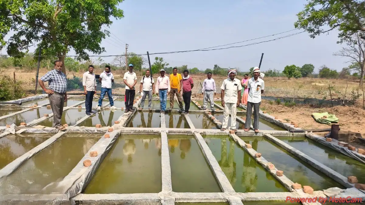 महासमुंद : सहकारी समितियों में 17 हजार नैनो यूरिया बाॅटल उपल... - CG Sandesh