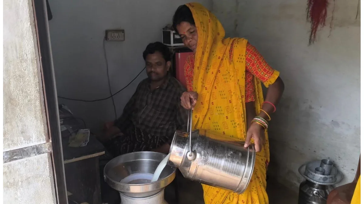 महासमुंद : डेयरी व्यवसाय से आत्मनिर्भर बन रहे जिले के 15 हजा... - CG Sandesh