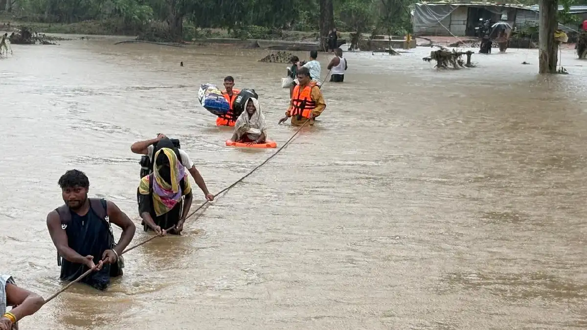 झमाझम बारिश से बसना अंचल में खेती ने पकड़ी रफ्तार, खल्लारी म... - CG Sandesh
