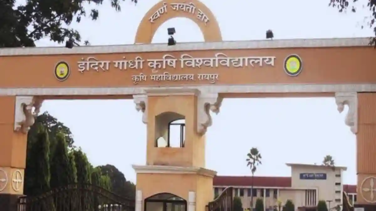 CG : मक्खी के प्रकोप पर किसानो को सलाह, कृषि निर्देशिका जारी - CG Sandesh