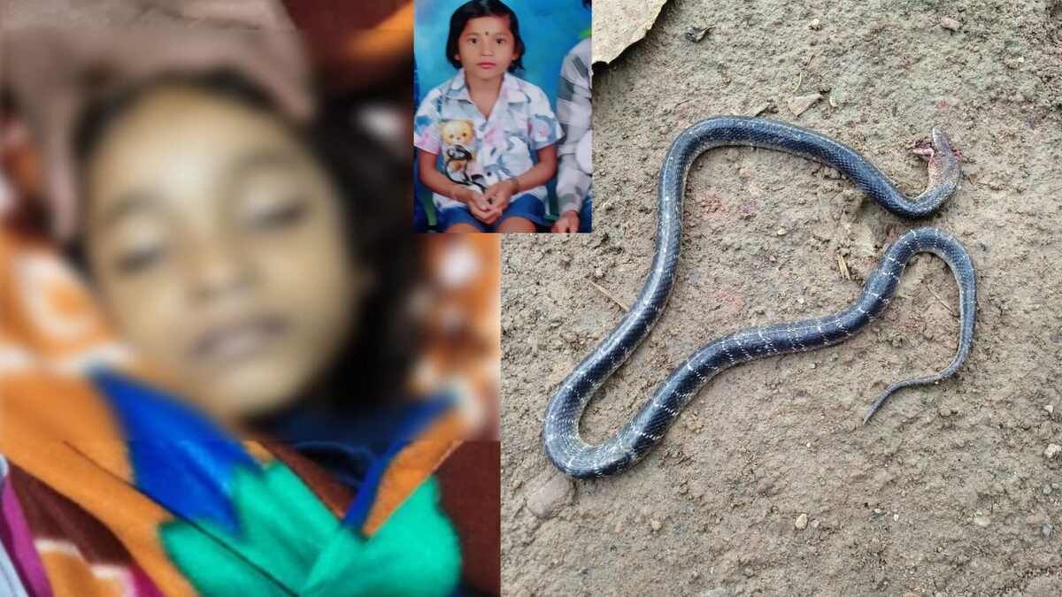 CG : खाट पर सो रही 8 वर्षीय मासूम बच्ची को सांप ने काटा, हुई... - CG Sandesh
