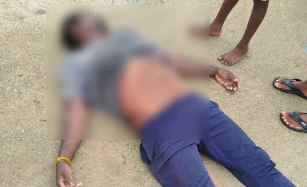 CG : पेड़ से चारा तोड़ते समय हाइटेंशन तार की चपेट में आने से... - CG Sandesh