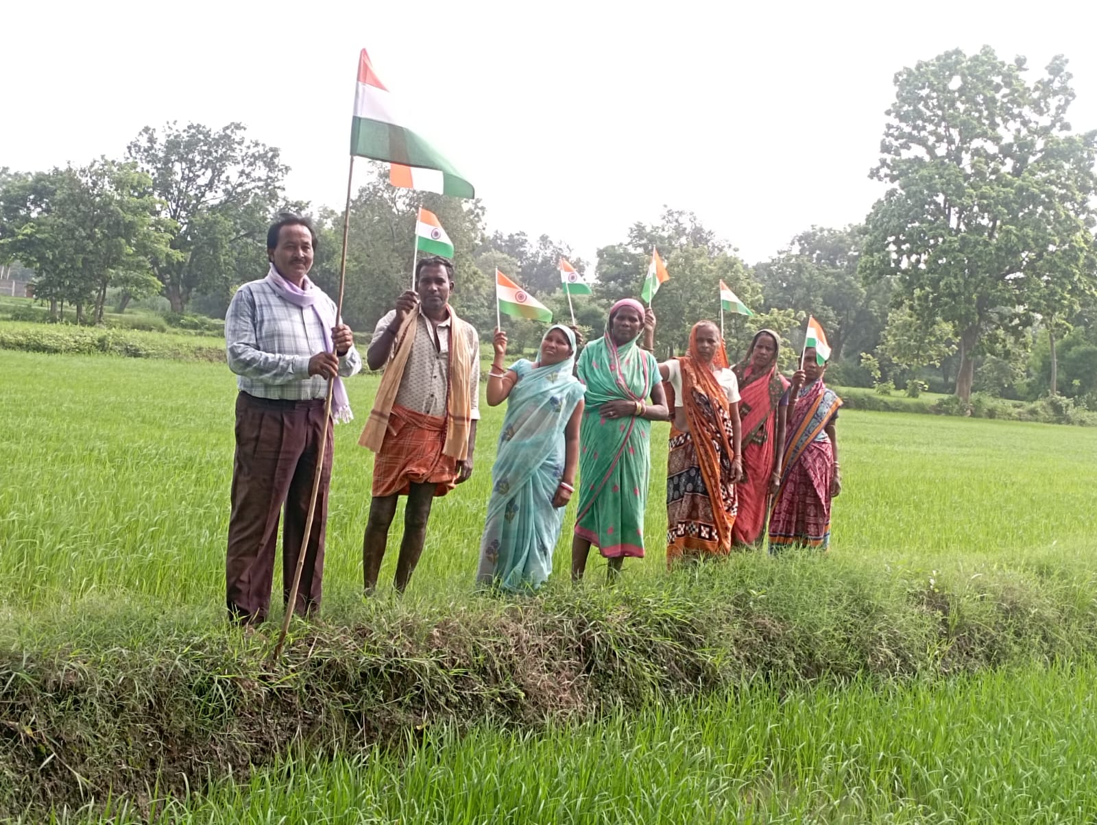 किसान ने खेत में लहराया तिरंगा, मनाया आजादी का जश्न - CG Sandesh