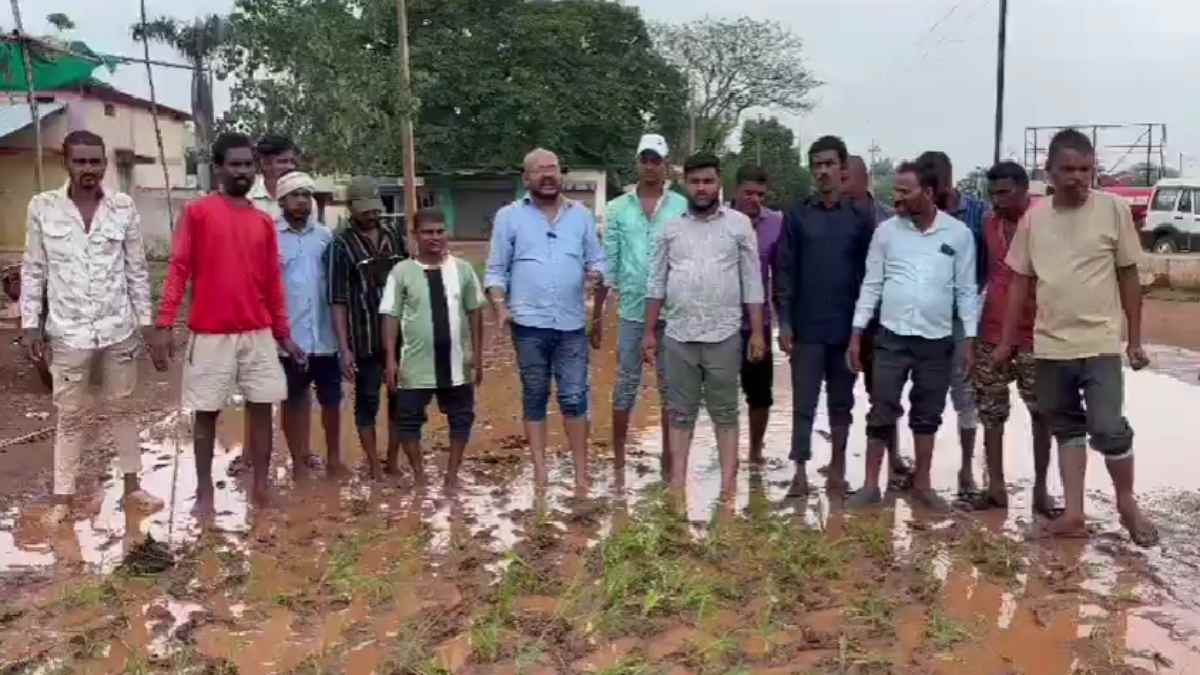 आवेदन के बाद भी नहीं सुधरी सड़क, गड्ढों में धान रोपकर युवा क... - CG Sandesh
