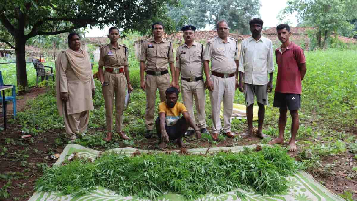 भानुप्रतापपुर : अरहर-चेंच भाजी की आड़ में ‘गुप्त खेती’, पुलि... - CG Sandesh