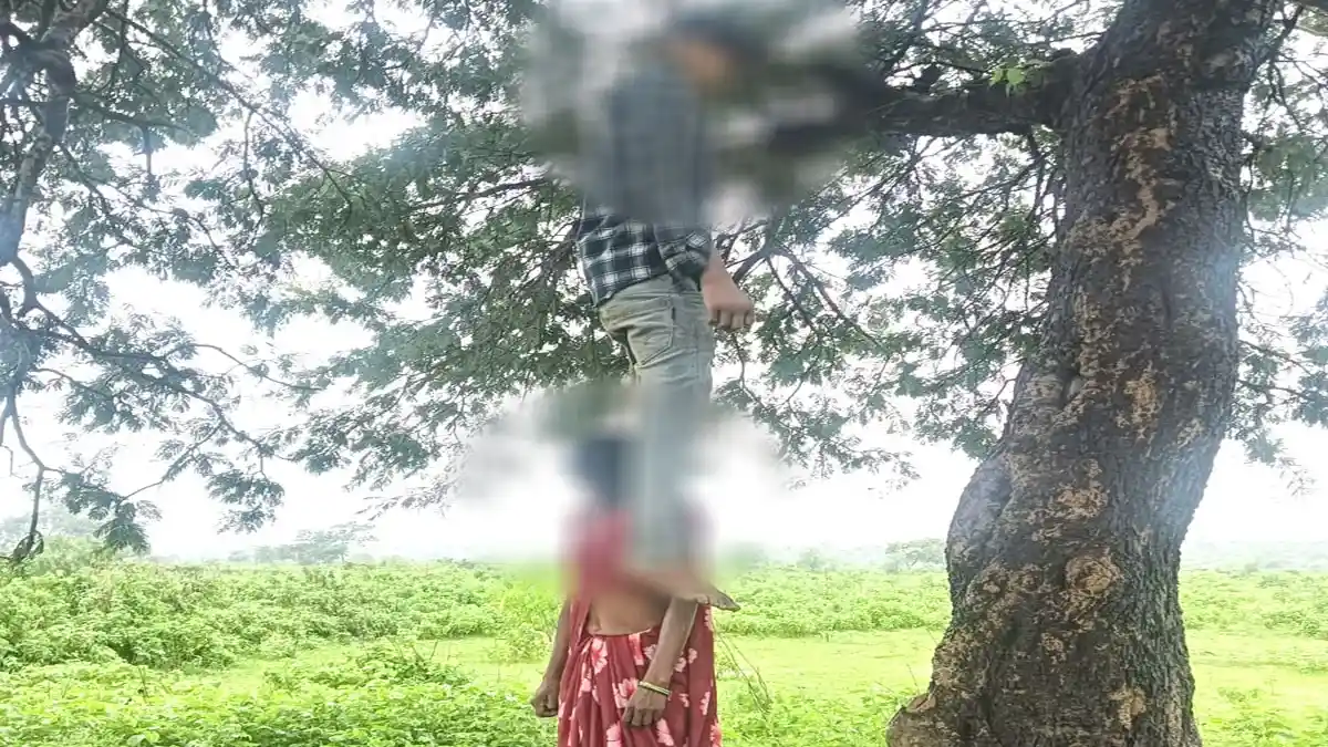 CG : पेड़ पर लटके मिले प्रेमी जोड़े के शव, प्रेम प्रसंग में आत... - CG Sandesh