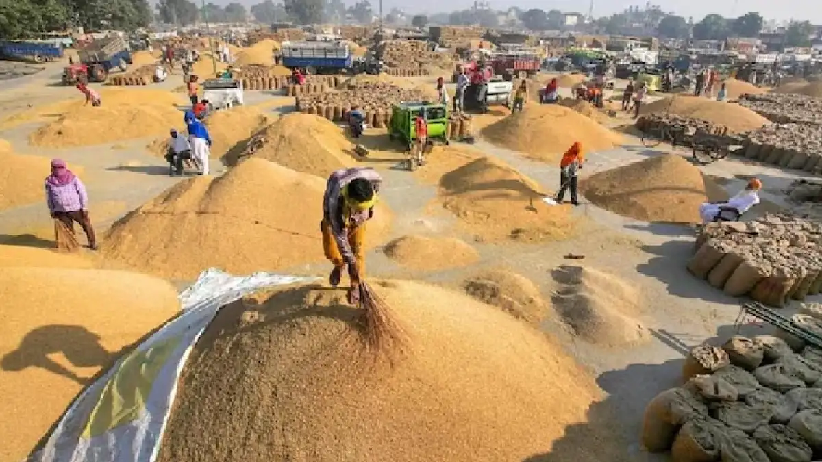 किसानों की सुविधा के लिए महासमुंद जिले में 20 नए धान उपार्जन... - CG Sandesh