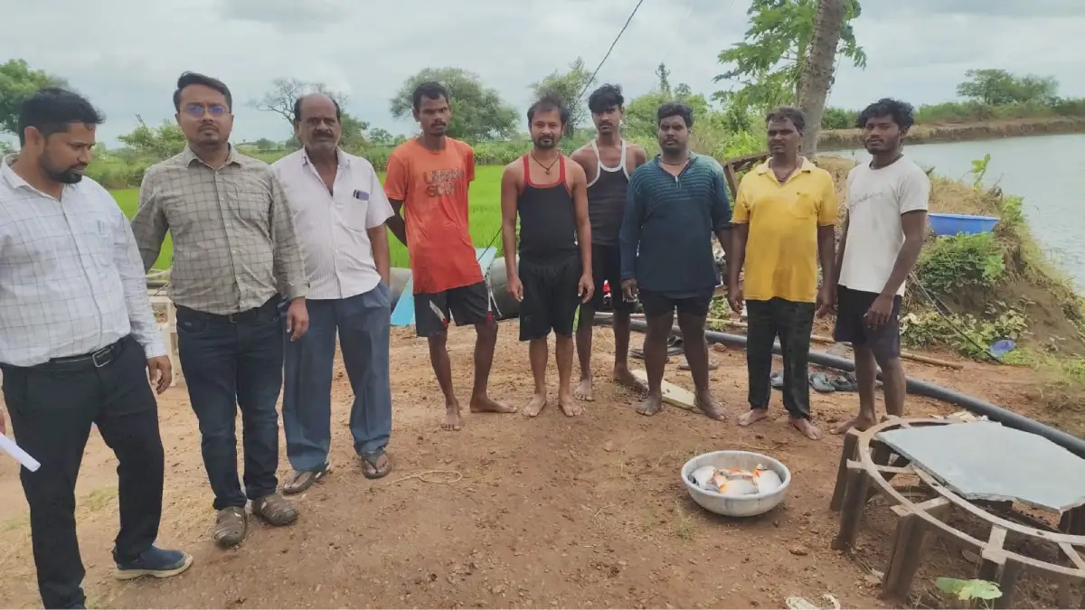 महासमुंद : दिनेश और हिमांशु ने मछली व्यवसाय में बनाई अपनी पह... - CG Sandesh