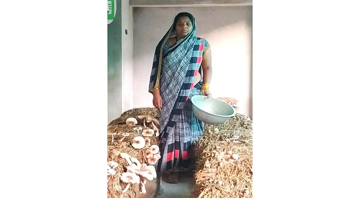 बसना : गरीबी से जुझ रही 14 महिलाओं ने समूह बनाकर आजीविका की ... - CG Sandesh