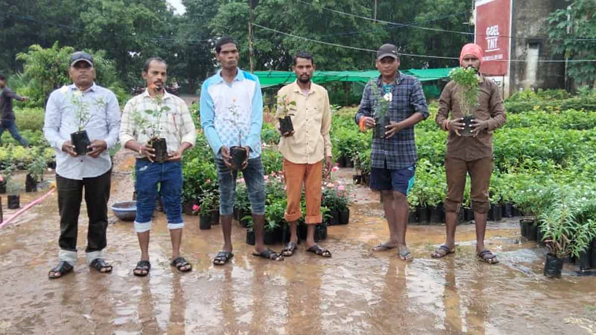महासमुंद : रामसागरपारा  स्कूल में लता की बगिया से महक रही प्... - CG Sandesh