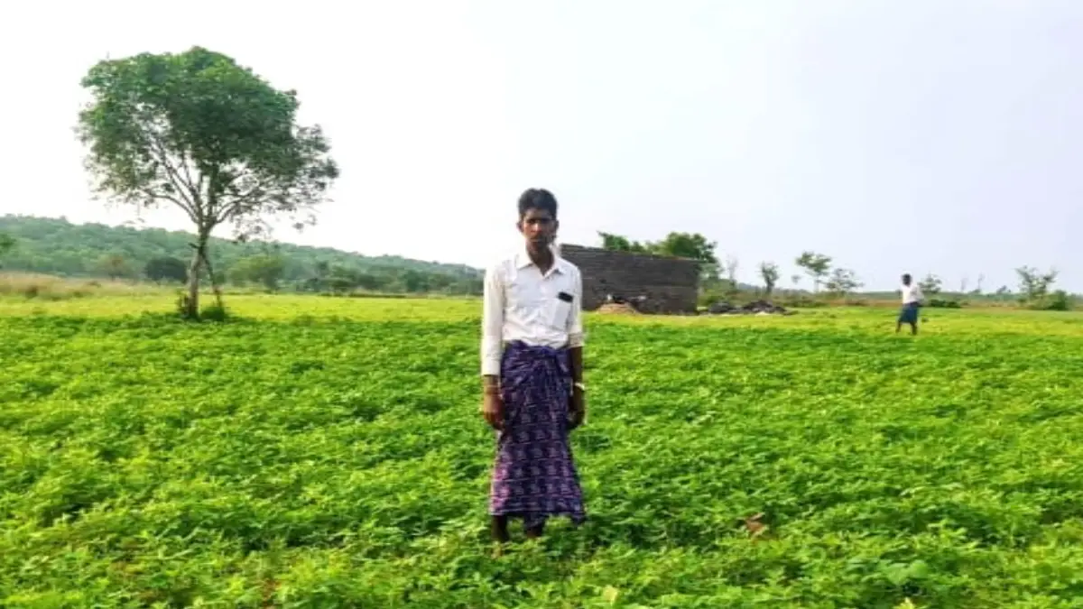 सरायपाली : विष्णु कुमार को मूंगफली की खेती से मिला 60 हजार र... - CG Sandesh