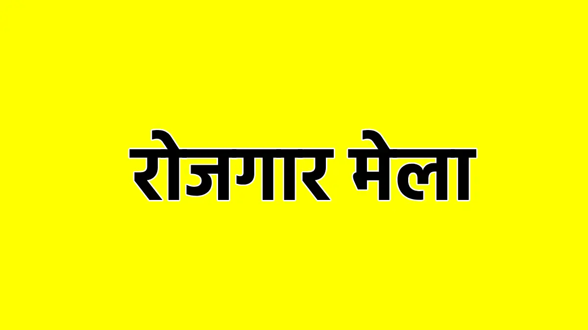 महासमुंद : जिले में जिला स्तरीय रोजगार मेला 24 सितंबर को, 20... - CG Sandesh